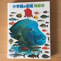 魚のサムネイル