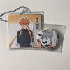 日向翔陽　グッズのサムネイル