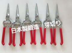 越後鍛冶職人が作った鍛造メッキ加工芽切り鋏 6本 - メルカリ
