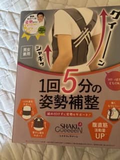 姿勢補整SHAKIとGueeeeN シャキットグイーンのサムネイル