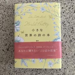 小さな世界の詩の本 渡邊めぐみ 小さな本シリーズのサムネイル
