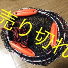 スカリのサムネイル
