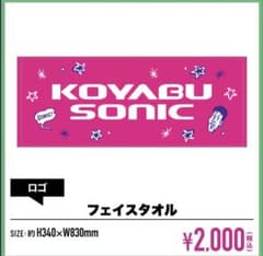 コヤブソニック2025 タオル コヤソニ ライブのサムネイル