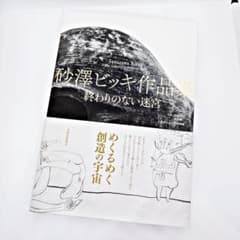 初版・帯付】 砂澤ビッキ作品集 終わりのない迷宮 - メルカリ
