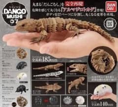 アルマジロトカゲ（レア）のサムネイル