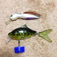 専用ですのサムネイル