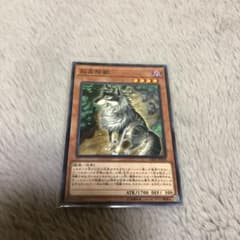 遊戯王 孤高除獣のサムネイル