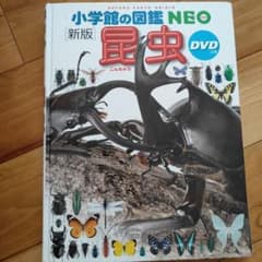 小学校館の図鑑 NEO 新版 昆虫 DVD付きのサムネイル