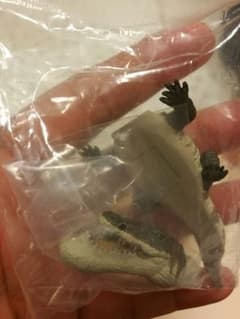 シャクレルプラネット  ワニのサムネイル