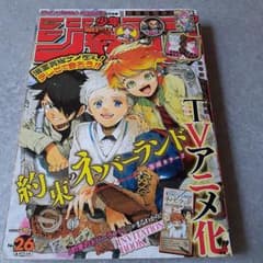 週刊少年ジャンプ 2018年26号 約束のネバーランド表紙 - メルカリ