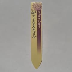 012 クリスマスキャロル ミックスベリア　札のサムネイル