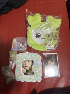 TWICE JEONGYEON グッズセット トレカ ぬいぐるみ　セット売りのサムネイル