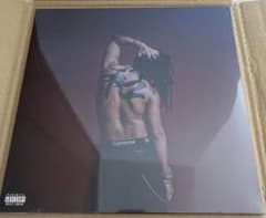 ¥ellow Bucks watarn 아날로그 레코드 LP
