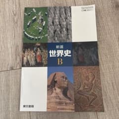 新選 世界史 Bのサムネイル