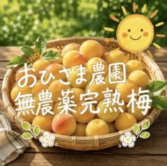 おひさま農園の農薬不使用 完熟 梅1kg - メルカリ