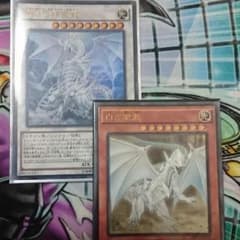 テラ 様 専用 精霊龍 ウル 白き霊龍 レリのサムネイル