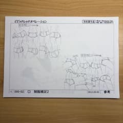 ビビットレッドオペレーション 設定資料 - メルカリ