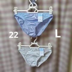 レディース ショーツ Lサイズ 2枚セット 光沢素材 トリコット セクシー