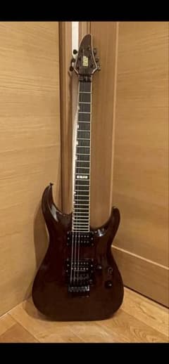 ESP HORIZONⅡ イーエスピー　ホライゾンスルーネック　ワンオーナー ESP HORIZONⅡ イーエスピー ホライゾンスルーネック ワン