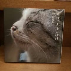 最終値下げ！ 岩合光昭 写真集 猫 ねこのサムネイル