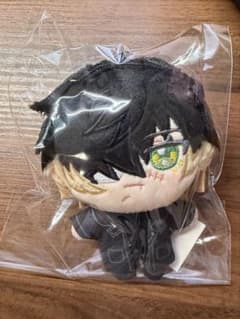 スロウダメージ トワ ぬいパル キラメモ ぬいぐるみ - メルカリ