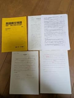 駿台 大島保彦 英語構文特講 発展 2019 夏期講習 理解と発見の英文読解