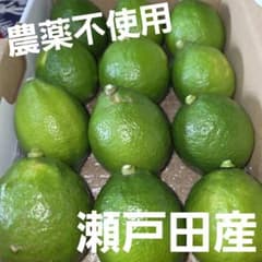 広島県瀬戸田産　グリーンレモンのサムネイル