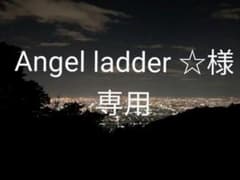 Angel ladder ☆様専用のサムネイル