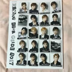 RISING STAR GUIDE 2017のサムネイル