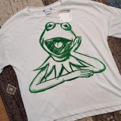 ZARA　ディズニー　カーミット　Tシャツのサムネイル