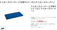 トゥルースリーパー ごろ寝マットのサムネイル