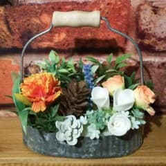ブリキ缶の寄せ植え①のサムネイル