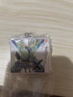 N*y様 ポケモン パッケージ＆カートリッジキーホルダーコレクション　Xのサムネイル