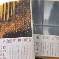 東山魁夷橙の風景　　橙　白のサムネイル