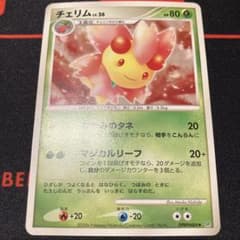 체림 ◆ DPBP # 484 DP1