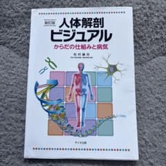 値下げ⭐︎人体解剖ビジュアル : からだの仕組みと病気のサムネイル