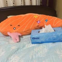 切り身ちゃんクッションのサムネイル