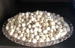 ハスの実（乾燥) 500g ベトナム産のサムネイル