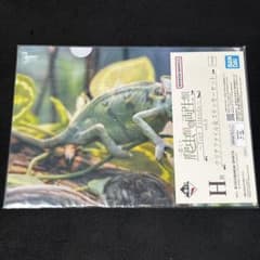 一番くじ 爬虫類＆両生類 Tiny Friends vol.3 H賞のサムネイル