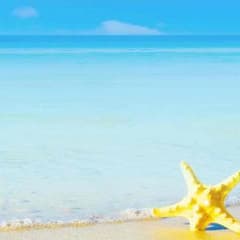 Eriko Fukatsu さま専用のサムネイル