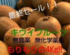 キウイフルーツ 4kg　最終セール！！のサムネイル