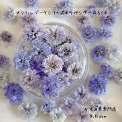 かすみ草 ＊ラベンダーみるく＊60粒＋α フリルブーケシリーズ ドライ