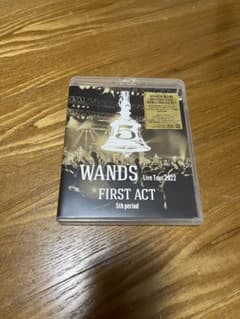 mommy様専用  WANDS Blu-rayのサムネイル