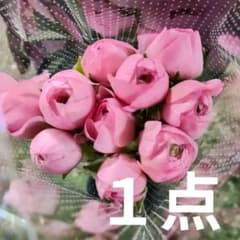 ラナンキュラス シュノンソー 25センチ位 10本 ❲切り花生花バラ❳6