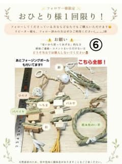 X6 インコ 鳥 ガジガジおもちゃ バードトイ バルサ フォージングトイ