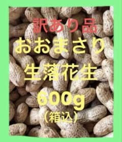 訳あり 生落花生 おおまさり 600g（箱込）農家直送 A-③ - メルカリ