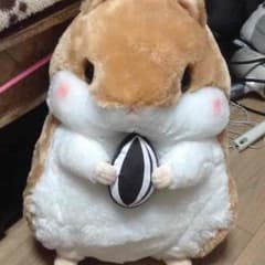 ハムスター 巨大ぬいぐるみ ラウンドワンのサムネイル