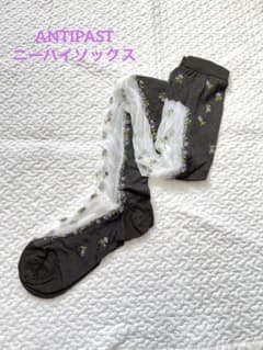 新品】ANTIPAST アンティパスト ニーハイソックス 花柄刺繍