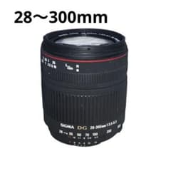 これ1本でOK✨SIGMA 28-300mm DG MACRO 望遠レンズ - メルカリ