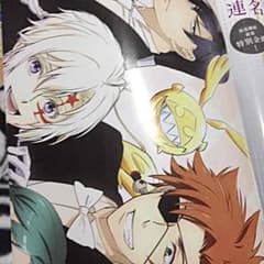 애니미디어 7월호 포스터 D.Gray-man HALLOW 핀업